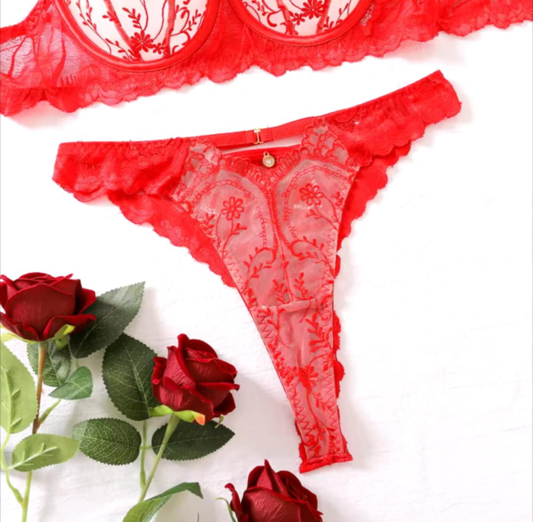 Lingerie 2 pièces dentelle nude rouge